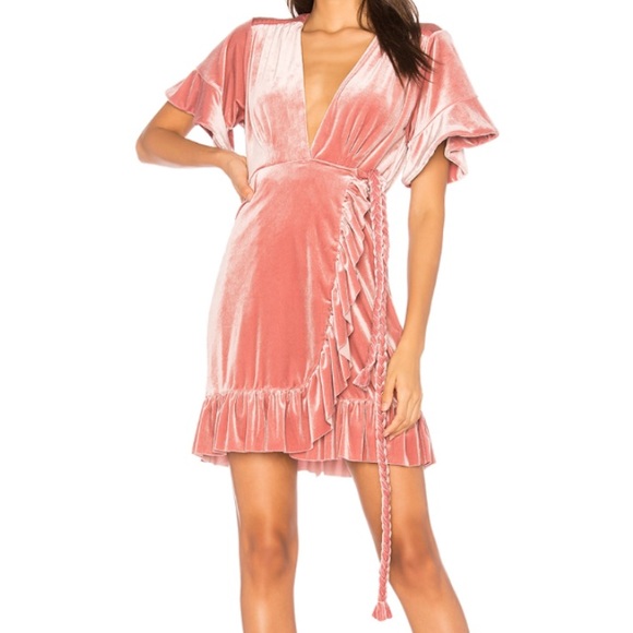 Misa Dresses & Skirts - ✨ Misa Desma Velvet Dress in Blush ✨